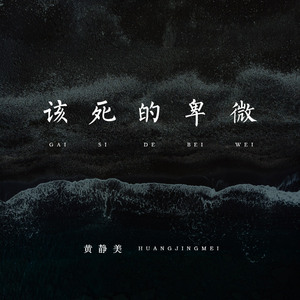 夜夜春精品视频
