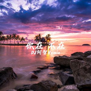 夜夜春精品视频
