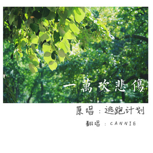 夜夜春精品视频
